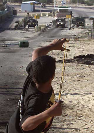 Sprettert mot jagerfly